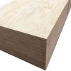 Hardwood Exterior Plywood Tongue & Groove BB/CC