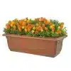 HGD 50cm Outdoor Mixed Rose Balcony Planter