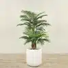 180cm Outdoor Palm Tree w/ white pot