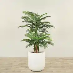 Garden Decor & Features