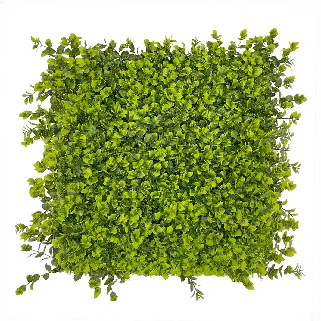 HGD 50x50cm Winter Creeper Tile
