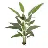 180cm Outdoor Bird of Paradise w/ white pot