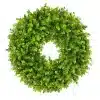 HGD 52cm Outdoor Eucalyptus Wreath