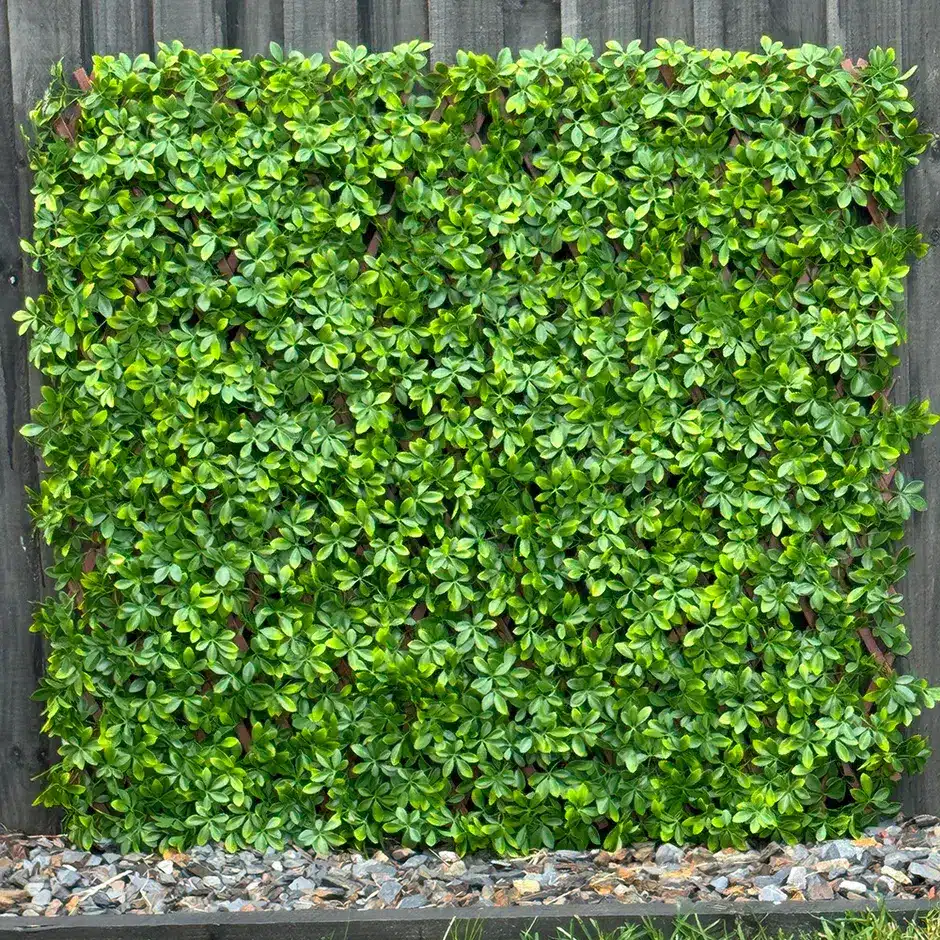 HGD 180cm X 90cm Barberry Trellis - Lt Green